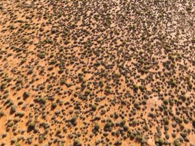 Creator Australiani: 8 Pilastri per l'Influenza Digitale Globale