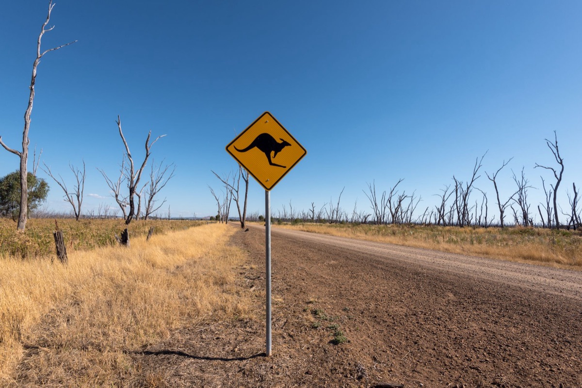 paesaggio australiano con terra rossa e cielo blu